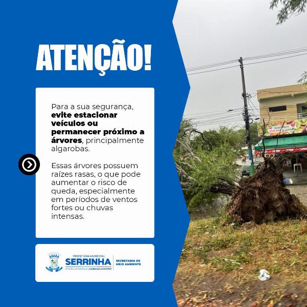 Prefeitura de Serrinha informa