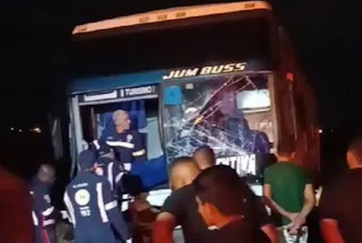 Ônibus com sacoleiros que viajavam de Caruaru-PE para Coité atropela cinco bovinos e três ocupantes ficam feridos