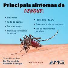 Seis a cada dez pessoas com dengue no mundo são brasileiras, indica OMS